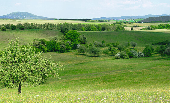 Eine Eifel-Wanderung in die Römerzeit