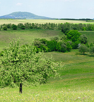 Eine Eifel-Wanderung in die Römerzeit