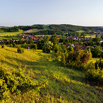 Auf dem Weg der Vielfalt