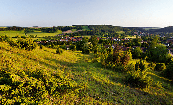 Auf dem Weg der Vielfalt