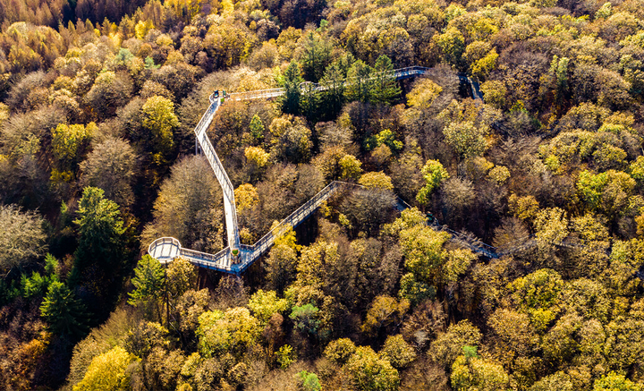 Den Waldmythen auf der Spur