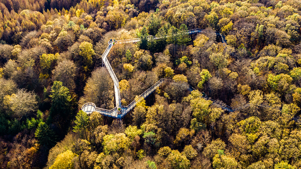 Tour 5: Den Waldmythen auf der Spur Den Waldmythen auf der Spur