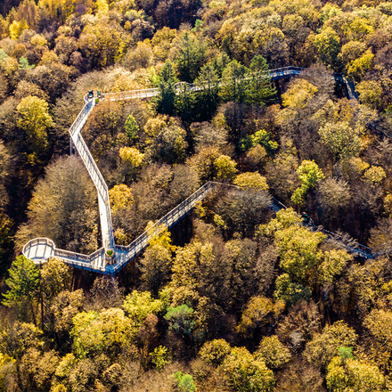 Den Waldmythen auf der Spur