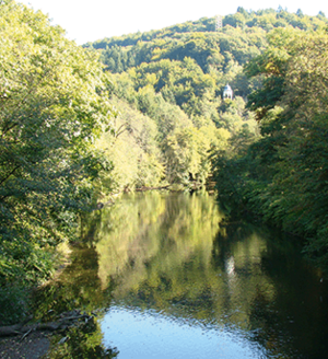 Unterwegs auf dem Bergischen Weg