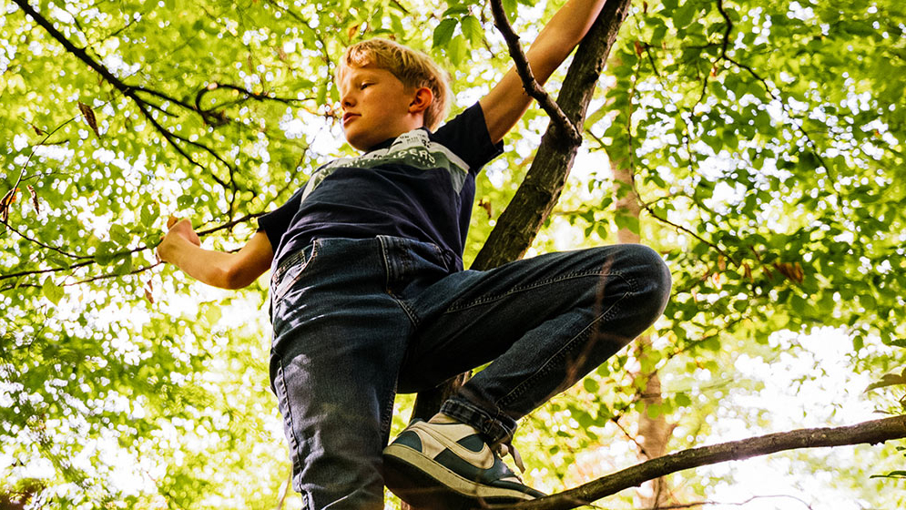 Zu sehen ist ein Kind, welches auf einen Baum klättert. 