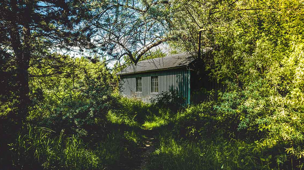 Zu Fuß zur Insel