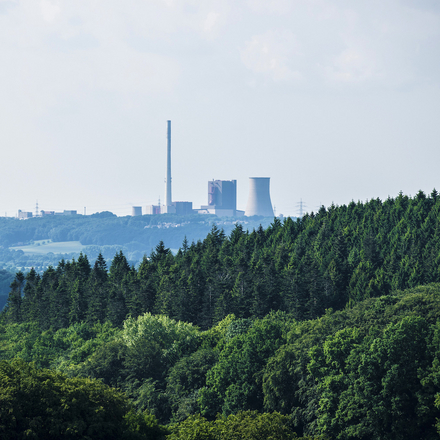 Münsterlandblick