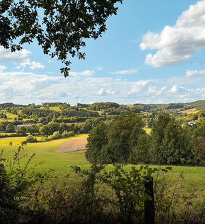 Wandergaudi Elfringhauser Schweiz