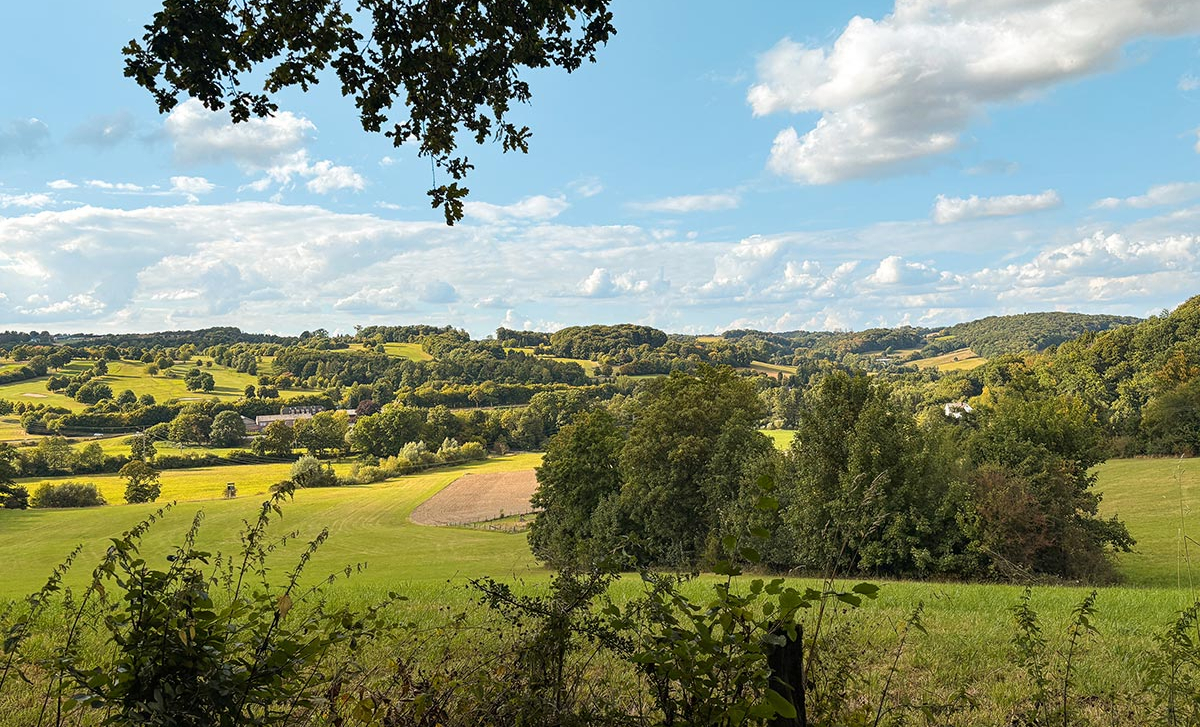 Wandergaudi Elfringhauser Schweiz
