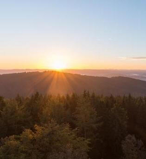 Auf dem Kindelsbergpfad im Siegerland