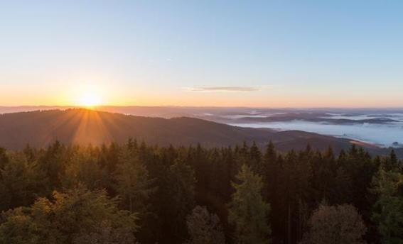 Auf dem Kindelsbergpfad im Siegerland