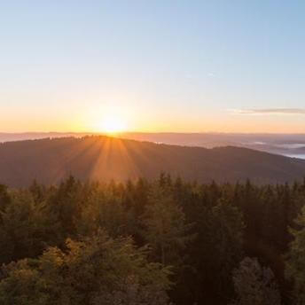 Auf dem Kindelsbergpfad im Siegerland