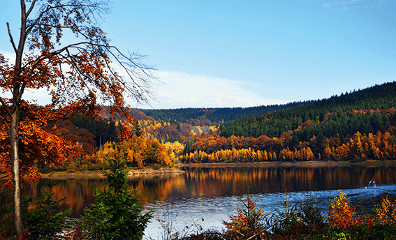 Auf dem Kalorienpfad von Hilchenbach