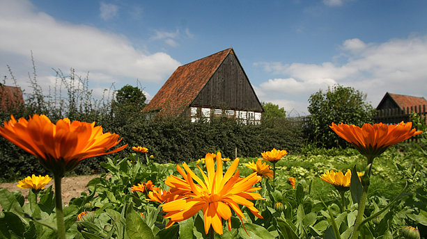 Ansicht der historischen Kulturlandschaft im Freilichtmuseum Detmold. LWL-Freilichtmuseum, Detmold