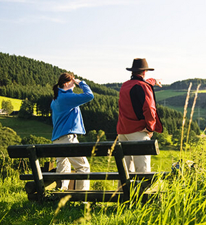 Auf dem Sauerland-Höhenflug