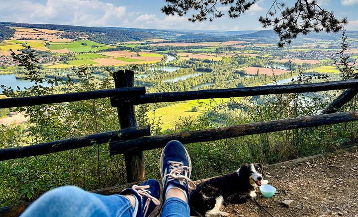 Stadt, Land, Wuff!
