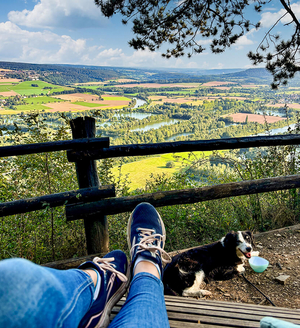 Stadt, Land, Wuff!
