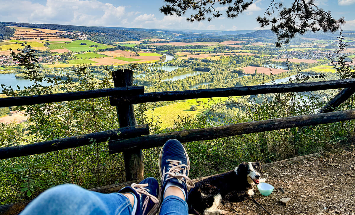 Stadt, Land, Wuff!