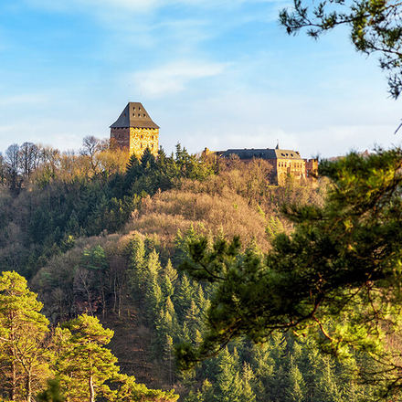 Eine Burg aus Rurzeiten