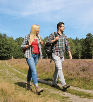 Unterwegs auf dem Emsquellen-Wanderweg