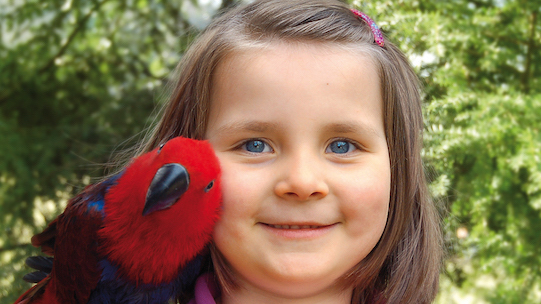 Ein kleines Mädchen mit einem Ara auf der Schulter im Vogelpark Heiligenkirchen. Vogelpark Heiligenkirchen