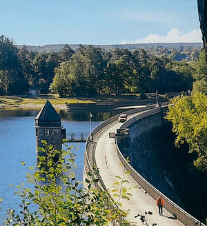 Von Struffeltkopf und Drachenzähnen