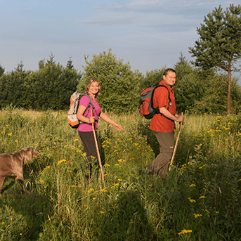 Die ersten Kilometer des Hermannswegs