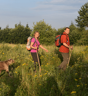 Die ersten Kilometer des Hermannswegs