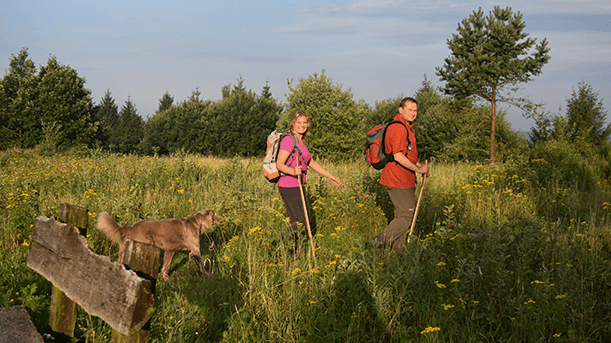 Die ersten Kilometer des Hermannswegs Die ersten Kilometer des Hermannswegs