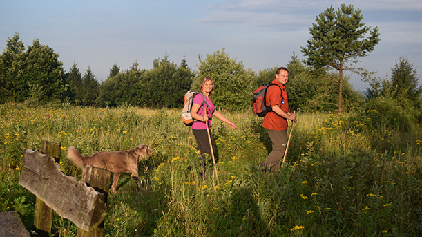 Der Velmerstot ist eine baumfreie Bergheide mit vielen Sandsteinfelsen und bietet ein schönes Panorama über den Silberseee. Die ersten Kilometer des Hermannswegs