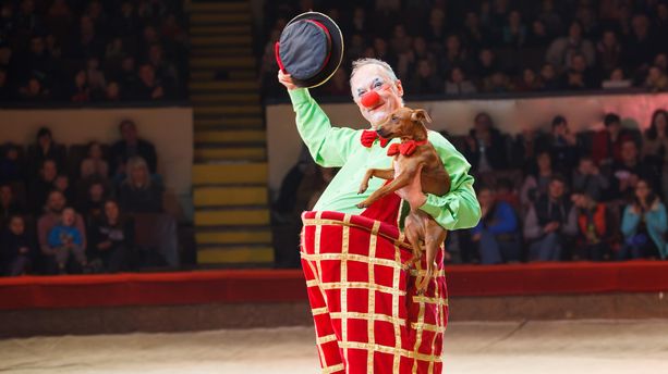 Kölner Weihnachtscircus Kölner Weihnachtscircus