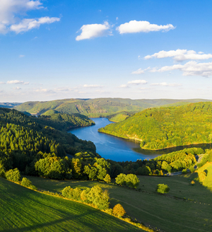 Eifel-Blick "Kuhkopf"