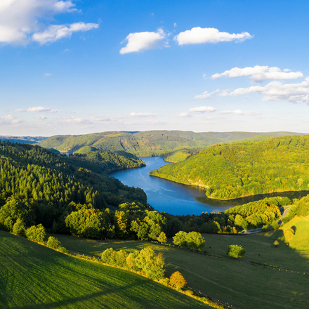 Eifel-Blick "Kuhkopf"