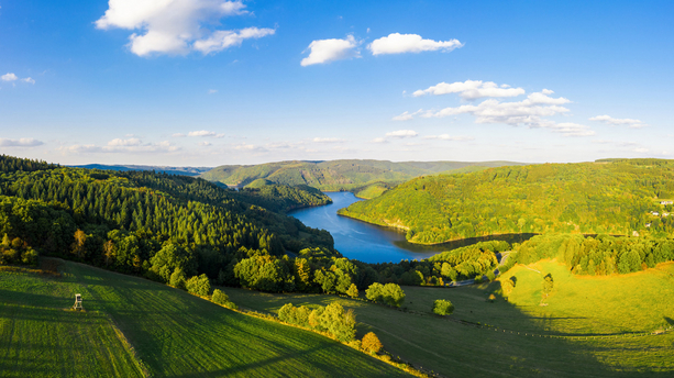 Eifel-Blick Kuhkopf Eifel-Blick "Kuhkopf"
