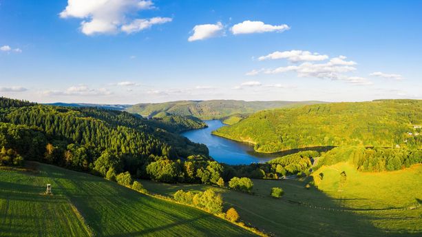 Eifel-Blick Kuhkopf Eifel-Blick "Kuhkopf"