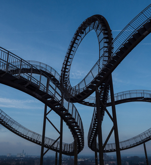 Tiger & Turtle