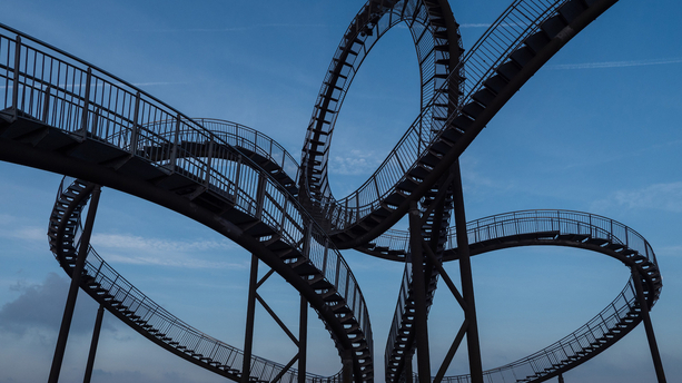 Tiger & Turtle
