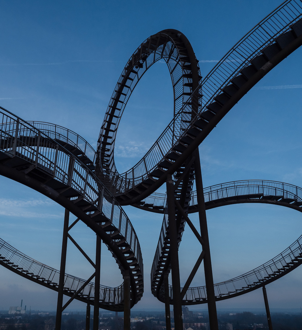 Tiger & Turtle