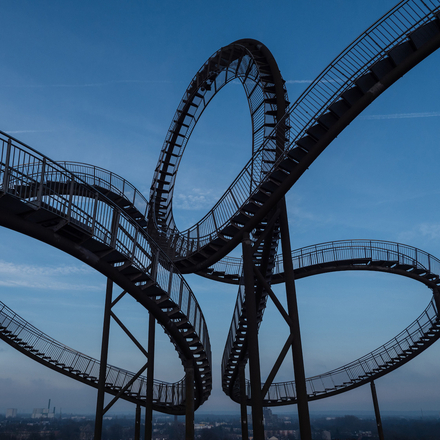 Tiger & Turtle