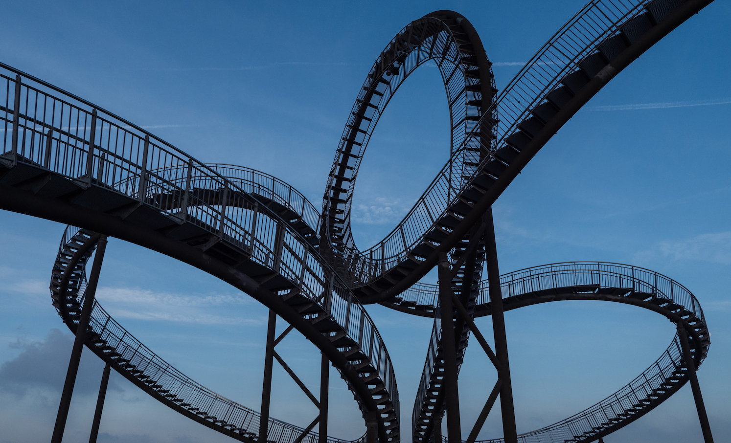 Tiger & Turtle