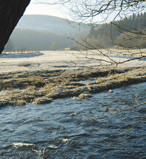 Auf dem Wittgensteiner Schieferpfad