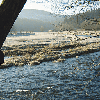 Auf dem Wittgensteiner Schieferpfad